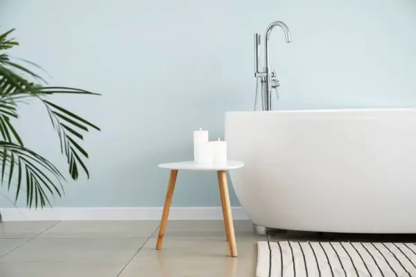 Which birds steal soap from the bath?