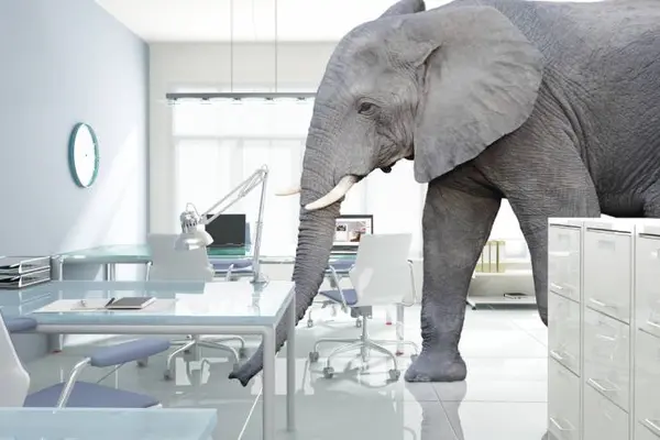 What do you call an elephant that doesn't matter?