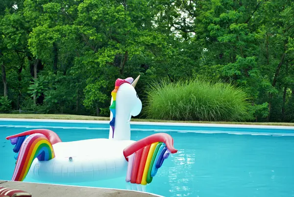 What animal floats best?