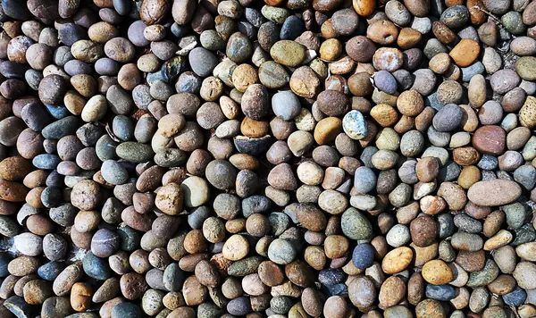 Why was the dating app for rocks canceled?