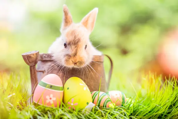 What do you call the Easter Bunny the Monday after Easter?