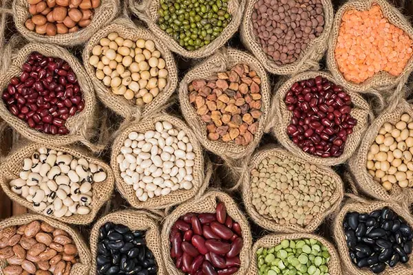 Why do legumes gossip so much?