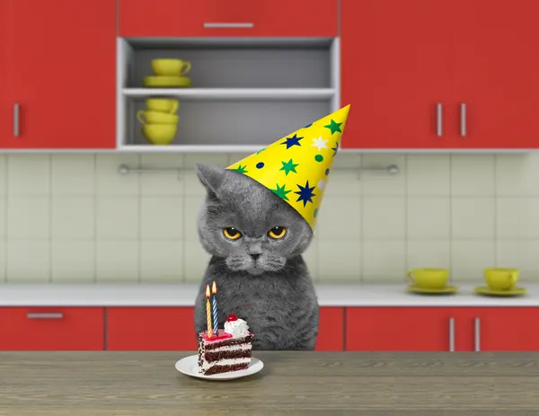 How do cats make a birthday cake?
