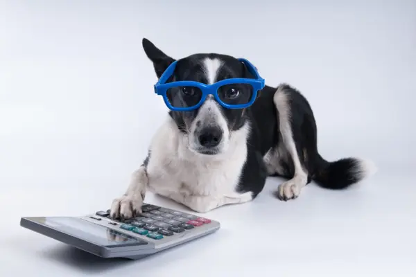 What do you get when you cross a dog and a calculator?