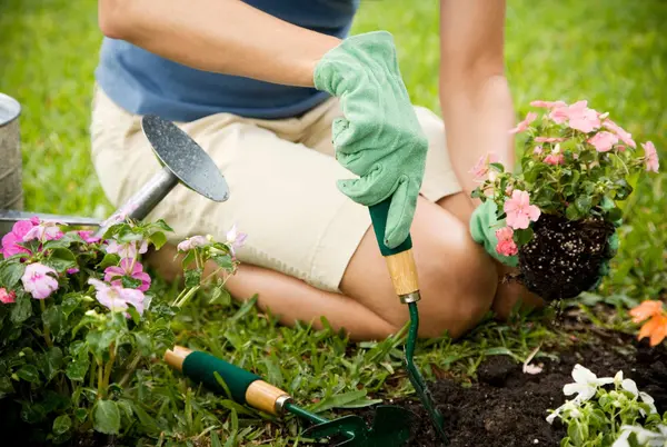 Why did the gardener have a hard time asking for a raise?