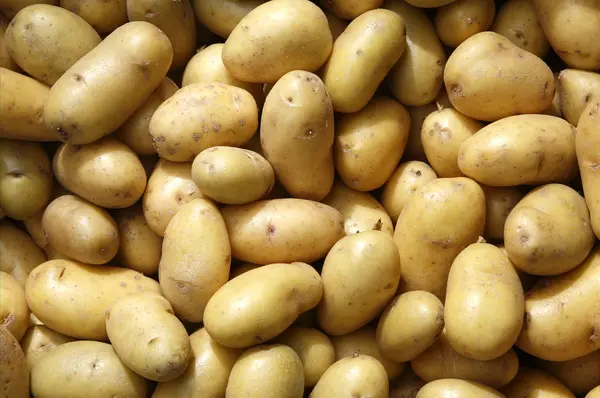 What are baby potatoes called?