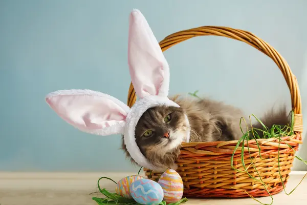 What is a cat's favorite candy on Easter?
