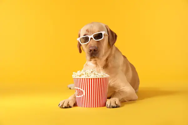 What snack did the dog buy at the movie theater?