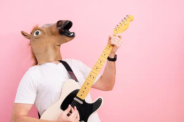 What do you call a horse that plays the violin?