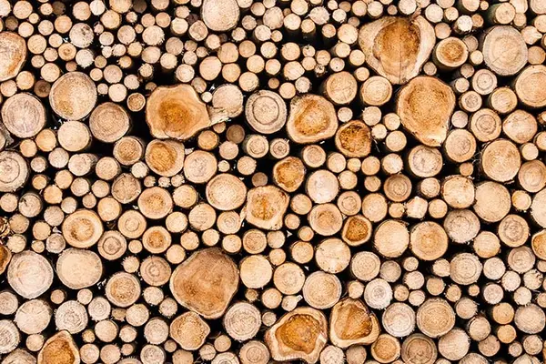 What happens to you when you lift a lot of logs?