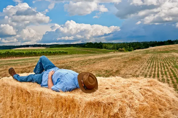 Why are farmers so laid-back?