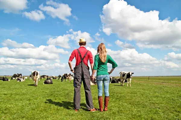 What did the farmer give his wife for Valentine's Day?