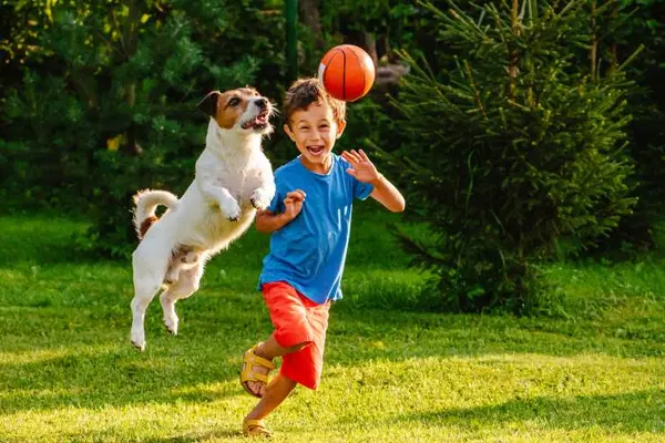 What animal scores the most in basketball?