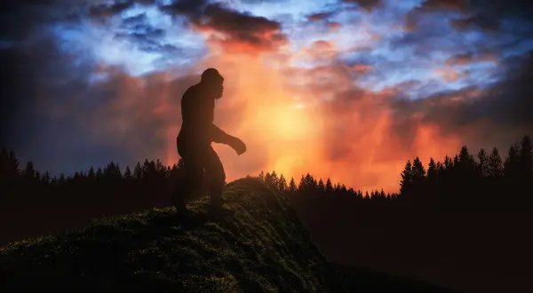 What kind of watch does Bigfoot have?