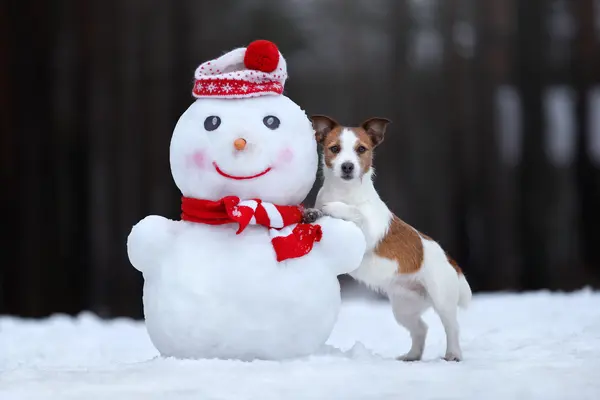 What do you call a snowman's dog?
