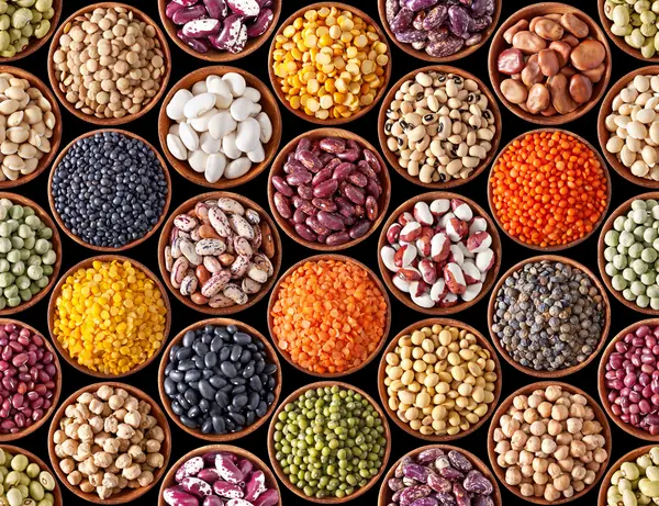What type of bean doesn't have protein?