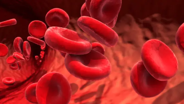 Why did the two red blood cells break up?